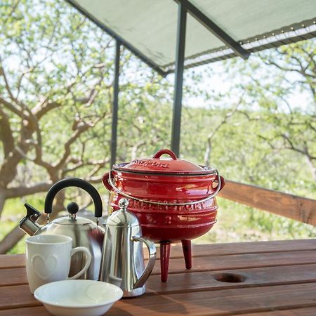 Etosha Safari Camping2Go Okaukuejo Quarto foto